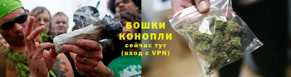 прущие грибы Киренск