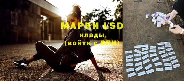 прущие грибы Киренск