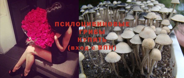 прущие грибы Киренск